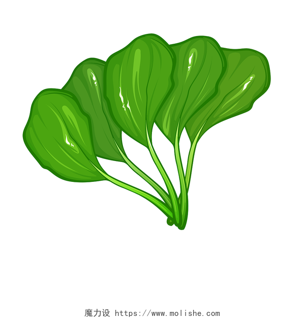 手绘插画火锅食材绿色蔬菜青菜素材菜叶